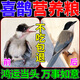 喜鵲飼料幼鳥(niǎo)提性開(kāi)口營(yíng)養鳥(niǎo)糧灰喜四喜鷯哥伯勞鳥(niǎo)通用高營(yíng)養鳥(niǎo)食 500g 1袋 好運隨行