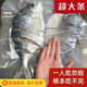 金鯧魚干湛江特大號(hào)金昌魚金魚淡水自曬真空淡干新鮮整箱 四條裝  4-5兩 大號(hào)超值