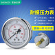 邁銳柯斯 軸向耐震壓力表YN60Z -0.1-60MPa全規格 標準螺紋M14*1.5 0-1.6MPa