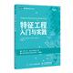 特征工程入門與實踐(圖靈出品) deepseek教程