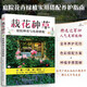 栽花種草 庭院種花與色彩搭配 花卉園藝栽培種植養(yǎng)護色彩搭配庭院綠化新手四季養(yǎng)花零基礎學養(yǎng)花