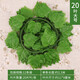 花藝赫家飾（HUA YI HE JIA SHI）仿真葡萄葉藤條吊頂樹(shù)葉裝飾花藤綠植物假花藤蔓塑料管道纏繞綠葉 20葉大號葡萄葉【12條裝】