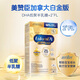 美贊臣（MeadJohnson）加拿大版進(jìn)口美贊臣1段 Enfamil嬰幼兒兒奶粉一段0-12個月 一段白金版奶粉890g