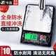 今選（JINXUAN） 充電防水廚房秤家用電子秤克秤高精度0.1g烘焙食物秤稱中藥茶葉小型克稱 防水【充電款】3公斤/0.1g