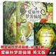 正版 愛(ài)麗絲夢(mèng)游仙境 英文+中文版全套2冊(cè) 中英文對(duì)照 青少年中小學(xué)-課外讀物兒童文學(xué)名著童話愛(ài)麗絲漫游奇境記