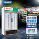 中雪立式保鮮展示柜銅管風(fēng)冷無霜冷柜玻璃雙門冰柜商用冰箱冷藏飲品 風(fēng)冷無霜銅管雙門528L