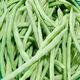 【春和田】云南四季豆新鮮現摘豆角蕓豆刀豆菜豆應季蔬菜 3斤普通（帶箱重）