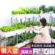 朵咔園藝陽(yáng)臺種菜盆種菜箱多層立體懶人自吸水大花盆家用蔬菜種植箱長(cháng)方形 三層吸水菜盆+萬(wàn)向輪