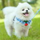 阿莫爾寵物狗狗花邊牽引繩胸背帶狗繩博美泰迪比熊遛狗繩小型幼犬狗鏈子 藍色(加繩子） S-小型(3-8斤)