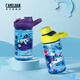 駝峰（CAMELBAK）兒童水杯夏季小學(xué)生男女吸管杯直飲杯可愛塑料保溫杯便攜杯子水壺 【吸管杯】滑板怪獸400ml