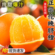 小鄧同學(xué)正宗當(dāng)季秭歸臍橙手剝甜橙倫晚化渣無籽無核現(xiàn)采現(xiàn)發(fā)整箱3/5/9斤 凈重9斤精品大果【順豐普通箱】