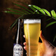 漿瑞康漿水啤酒官方正品益生菌白啤酸啤甘肅特產(chǎn)漿瑞康漿水啤酒滅菌款 小瓶箱裝 252mL 12瓶 玻璃瓶