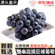 葡萄巨峰葡萄新鮮【順豐/JD多地次日達】乒乓球夏黑葡萄水果 5斤精品裝 臻品果王【顆顆甄選|大串剪枝】
