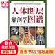 當(dāng)當(dāng)人體斷層解剖學(xué)圖譜（劉樹(shù)偉主編，與課本同一編者，CT、MRI和斷層解剖學(xué)習(xí)的參考書(shū))