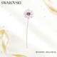 施華洛世奇（SWAROVSKI）GARDEN TALES 精致波斯菊擺件女士禮物生日禮物女新年禮物5557801
