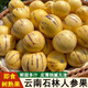 鑫果滋云南石林人參果 火山巖圓果風(fēng)化石水果新鮮人叁果黃肉人生果 大果4.5斤，單果80-100g 網(wǎng)套+紙箱