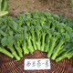 壽禾 西蘭花種子耐寒優(yōu)秀秋冬季農(nóng)家蔬菜四季播青菜西藍(lán)花菜籽種籽 西蘭苔種子約1000粒