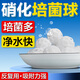 創(chuàng)寧過濾材料水族箱底濾生化球滴流盒養(yǎng)魚用品培菌硝化毛球魔球 硝化培菌球【80個(gè)裝】