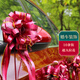夢(mèng)橋 婚車(chē)裝飾 主副婚車(chē)頭拉花結婚用品汽車(chē)彩帶蝴蝶結絲帶扎花10條
