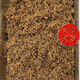 巖亥 特級(jí)金駿眉茶葉紅茶禮盒裝500g濃香型正宗武夷山新茶春茶 頭采芽中芽一斤
