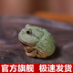 鑫祥勢宸宜興紫砂小金蟾蟾寶茶玩造景擺件精品可養(yǎng)創(chuàng)意小青蛙茶具配件茶寵 綠小青蛙【禮盒裝】