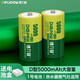 德力普（Delipow）1號充電電池 D型大容量5000毫安充電器套裝適用煤氣灶\熱水器\收音機 【黃綠】2節(jié)1號5000毫安電池