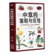 中草藥鑒別與應用 圖解中草藥大全 野外識別原植物鑒別圖冊 藥學(xué)書(shū)中藥材飲片鑒別與應用圖譜書(shū)籍