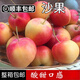 顏曼箐東北青9沙果海棠果順豐花紅迷你小蘋(píng)果開(kāi)久123小蘋(píng)果新鮮孕婦水果 顆顆獨(dú)立包裝 順豐 3斤 60mm以下