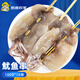 密水農(nóng)家鐵板大魷魚串燒烤串火鍋油炸食材水產(chǎn)商用鮮活冷凍半成品海鮮 魷魚串100g*10串