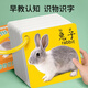 奕思瑞早教書(shū)彩色卡嬰兒童認知卡片0-1-3歲動(dòng)物識數字看圖識物寶寶玩具 動(dòng)物+果蔬【2盒180面】