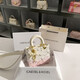 CAEISL & KCIEL官網(wǎng)小&ck2025新款女包小眾設(shè)計(jì)高級(jí)感漸變手提戴妃包女生日禮物 收藏加購(gòu)+禮盒發(fā)貨