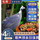 姬露鮮珍珠雞肉純雜糧喂養老雞肉土雞肉健身雞肉 3.5斤左右珍珠雞一只