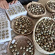 盧丁雞蛋受精種蛋正宗可孵化新鮮迷你網(wǎng)紅寵雞蛋藍(lán)胸禮服蘆丁雞蛋 受精種蛋10送2枚路損送開口糧