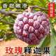 甘賢海南玫瑰釋迦果【順豐空運(yùn)】現(xiàn)摘紅皮大目釋迦林檎當(dāng)季新鮮水果 3斤禮盒裝 （單果4-5兩）