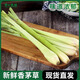 香茅草新鮮檸檬草葉食用香茅香料菜奶茶店用品調(diào)料泰國冬陰功湯料 250g