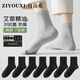 自由系襪子男士精油抗菌防臭襪純色新疆棉網(wǎng)眼透氣休閑運動(dòng)商務(wù)中筒襪男