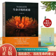 全新正版生命喜悅的祈禱沈妙瑜著(zhù)祈禱文一周生命喜悅的祈禱感想文心靈札記【贈送寫(xiě)給孩子的能量朗讀文】
