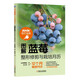 圖解藍莓整形修剪與栽培月歷