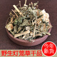燈籠草包郵深山燈籠草中藥材500克鬼燈籠苦錦燈籠南方姑娘果干貨 曬干切段干品