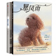 暴風(fēng)雨繪本（套裝共2冊(cè) 暴風(fēng)雨 + 獨(dú)生小孩）《紐約時(shí)報(bào)》兒童情感教育繪本【3-6歲】郭婧 著 