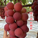京覓 云南妮娜皇后葡萄 4斤禮盒 紅提生鮮水果新鮮時(shí)令 源頭直發(fā)