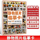 【現(xiàn)貨速發(fā)】素描靜物照片臨摹卡64幅 2022沐尚文化單體結(jié)構(gòu)組合明暗高清精美零基礎(chǔ)入門教材袋裝原畫手稿藝考高考創(chuàng)意教程卡片沐尚文化
