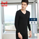 貓人秋衣秋褲男士莫代爾棉薄款純色修身打底棉毛衫基礎保暖內衣套裝 黑色-V領(lǐng) XXXL