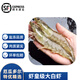 沢素灣厄瓜多爾白蝦大蝦 鮮活鹽凍特大號青蝦對蝦海蝦送禮禮盒 蝦皇（約20-40只/盒） 5盒裝