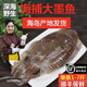 大墨魚1-9斤鮮活急凍烏賊特大目魚魷魚八爪魚生鮮食材魷魚須海兔 2斤(凈重)  ±1至2兩(整條)