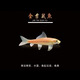 森悠（SARYOR）金苔鼠淡水魚(yú)魚(yú)缸清潔魚(yú)觀(guān)賞魚(yú)熱帶魚(yú)好養工具魚(yú)吃垃圾魚(yú) 金苔鼠魚(yú)4條(4-6cm)