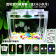 水母活物包活發(fā)光箱水母缸海洋寵物餌料豐年蝦飼料海水素夜光水族 透明發(fā)光箱套餐（送3只水母）