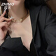 致末（ZHIMO）朋克風(fēng)金屬蛇形蛇骨鏈辣妹甜酷脖頸環(huán)頸鏈項圈鎖骨鏈項鏈女 蛇形項圈金色