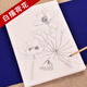 臻言 工筆畫(huà)白描底稿手繪荷花畫(huà)譜云母熟宣線描 初學(xué)者美術(shù)基礎(chǔ)教程臨摹練習(xí)創(chuàng)作 熟宣紙蓮花水彩國(guó)畫(huà)上色 白描荷花97張，共97種圖案