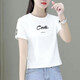 檸清研純棉短袖t恤女小個(gè)子短款2023夏季寬松顯瘦腰韓版短袖上衣女 白色-conte M（100內）斤